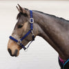 Perry Equestrian 7148 Luxury Padded Headcollar Navy