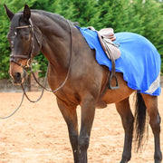 Best On Horse WoW Exercise Sheet Royal Blue