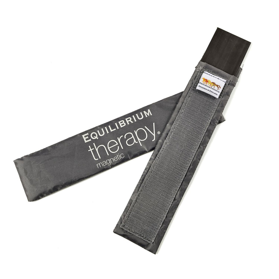 Equilibrium Therapy Spare Magnet