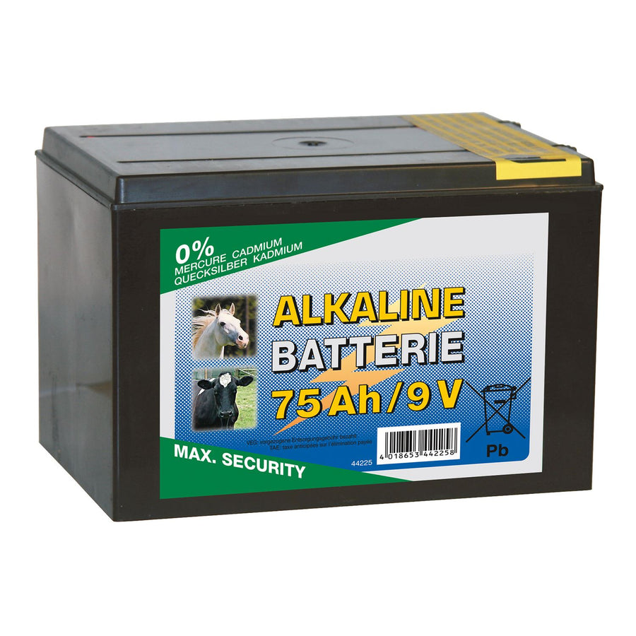 9V Alkaline Dry Battery