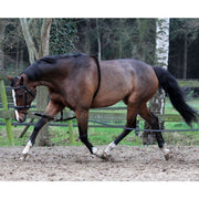 Horka Lunging help Lunging Items Black