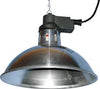 Intelec Traditional Infra-Red Lamp