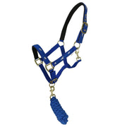 Bow & Arrow Horse Print Head Collar Royal Blue