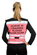 Equisafety Air Waistcoat Horse in Training Please Slow Down