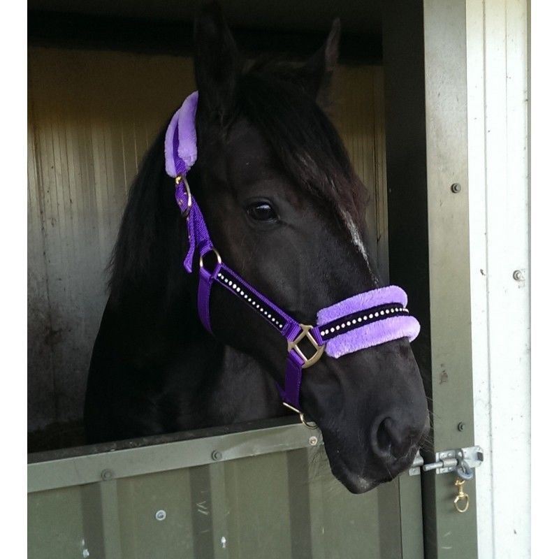 White Horse Equestrian Diamond Fleece Head collar Purple