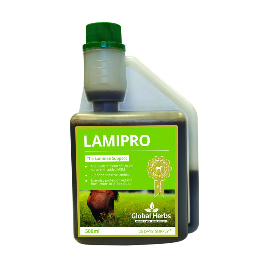 Global Herbs LamiPro