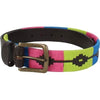 Shires Ladies Moreno Polo Belt Blue, Pink and Lime