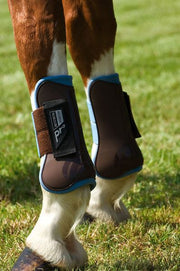 Norton 'Pro' Tendon and Fetlock Boots Brown/Blue  Pony