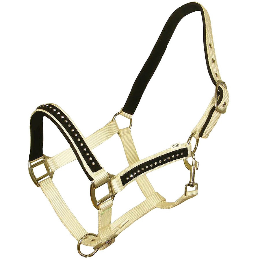 White Horse Equestrian DHC Headcollar without Leadrope White