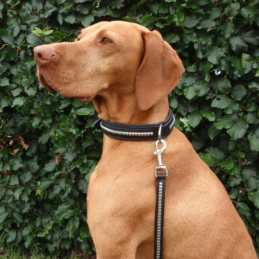 Horka Leather 'Clincher' Dog Lead 150cm Black/Silver