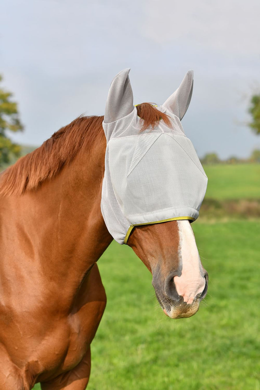 Equilibrium Field Relief Midi Fly Mask With Ears Grey/Blue