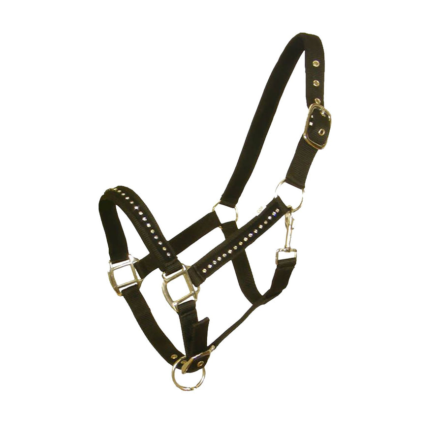 White Horse Equestrian DHC Headcollar without Leadrope Black