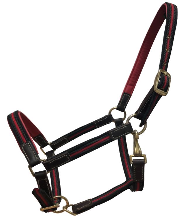 White Horse Equestrian Tape Leather Headcollar Black/Red