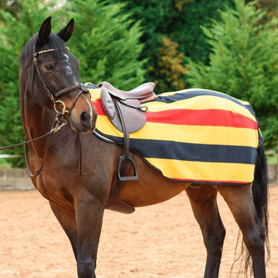 Best On Horse Stripe Exercise Sheet Newmarket