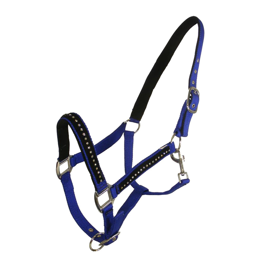 White Horse Equestrian DHC Headcollar without Leadrope Royal Blue