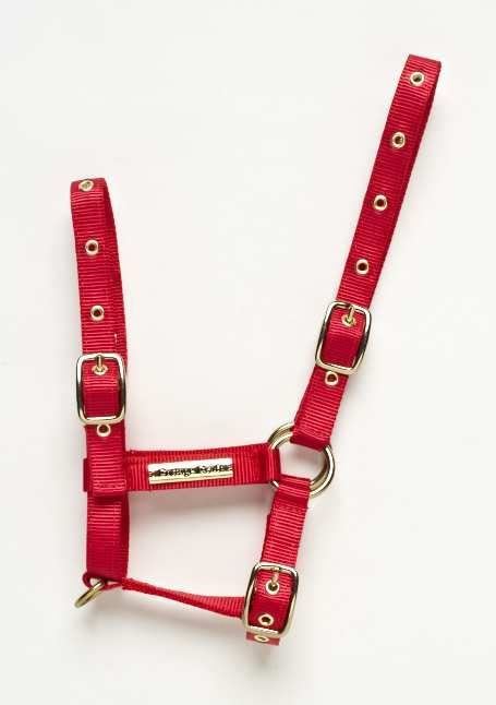 F16 Cottage Craft Turnout Safe Foal Headcollar Red