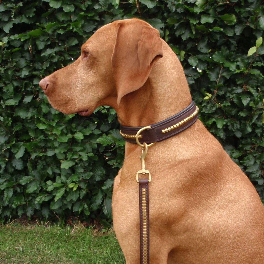 Horka Leather 'Clincher' Dog Lead 150cm Brown/Gold