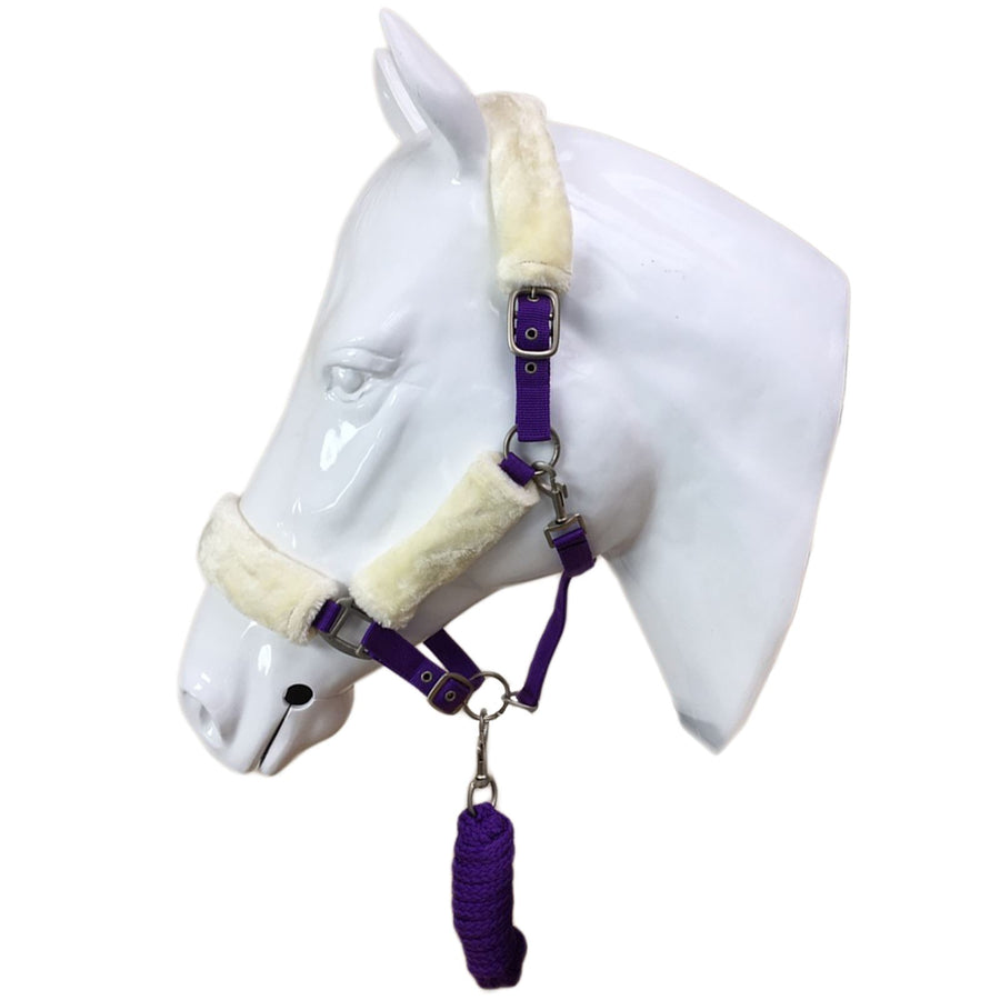 White Horse Equestrian Elegant Headcollar Purple