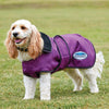 Weatherbeeta Windbreaker 420D Deluxe Dog Coat Purple
