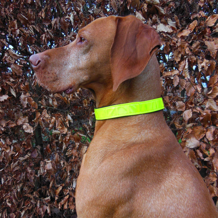 Horka 'Reflective' Dog Collar Yellow