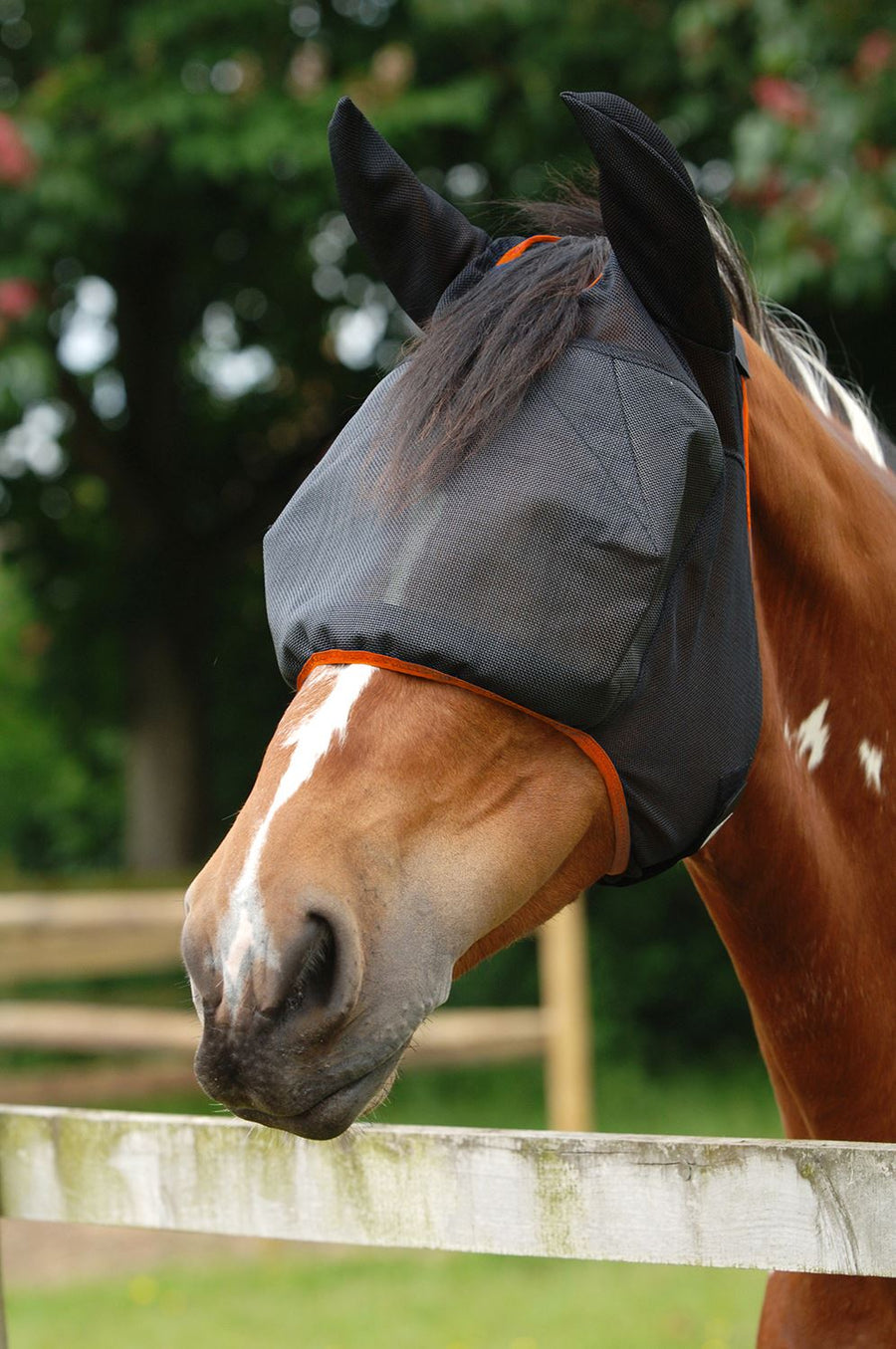 Equilibrium Field Relief Midi Fly Mask With Ears Black/Blue