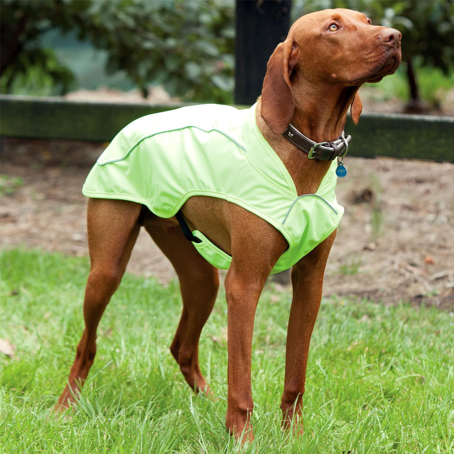 Weatherbeeta 8025 Reflective Exercise Dog Coat Yellow